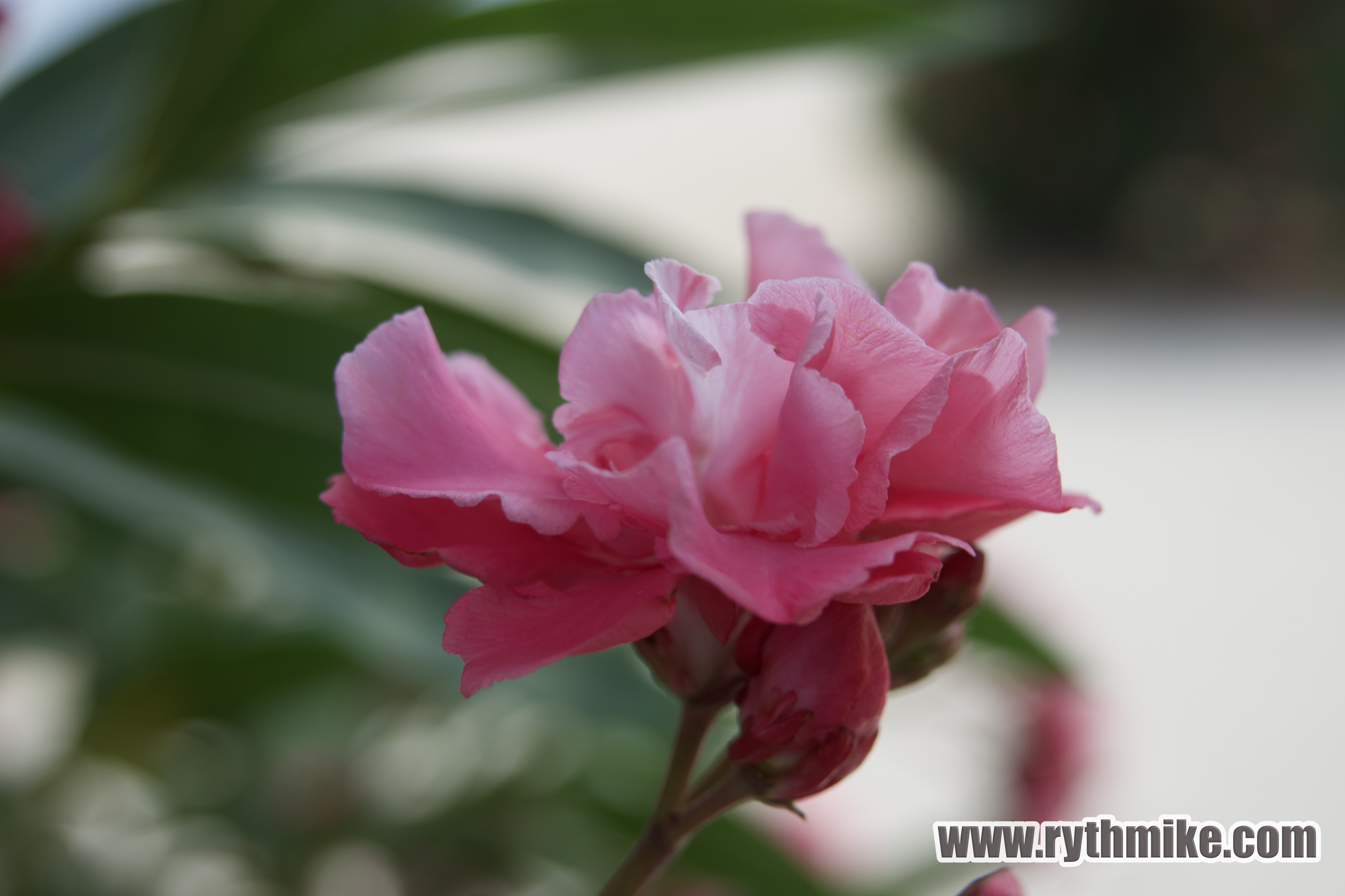 photo d'Argeles