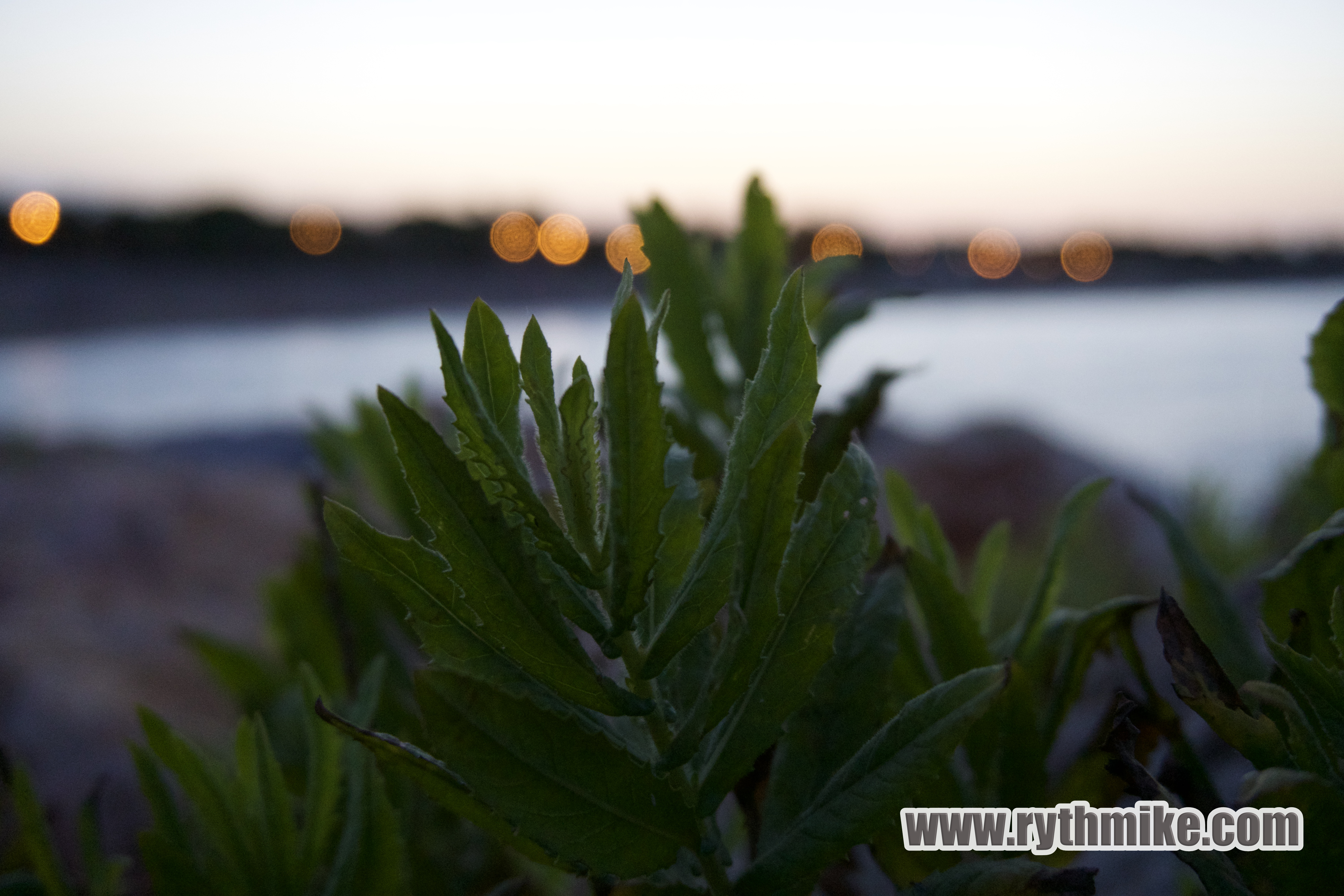 photo d'Argeles