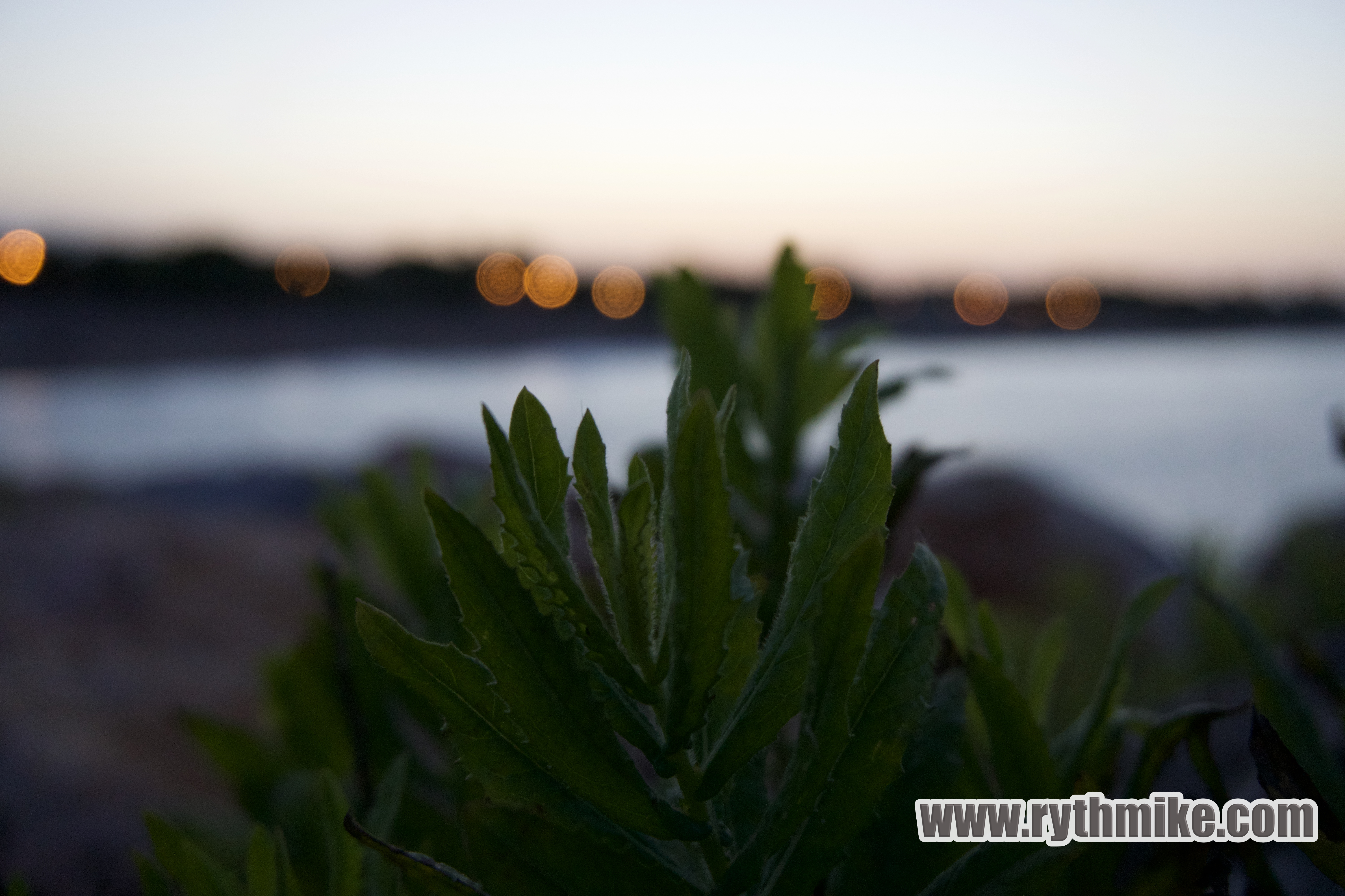 photo d'Argeles