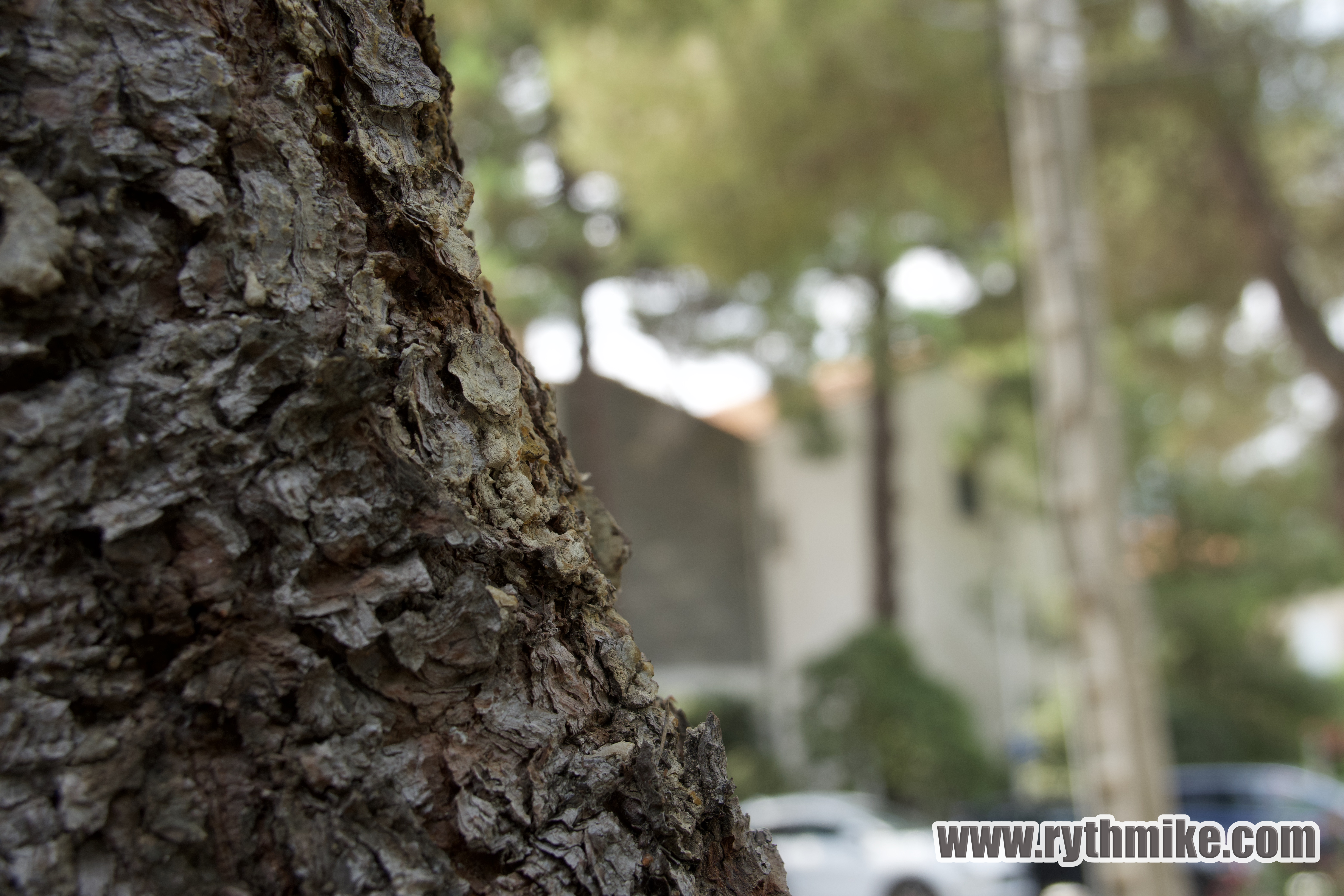 photo d'Argeles