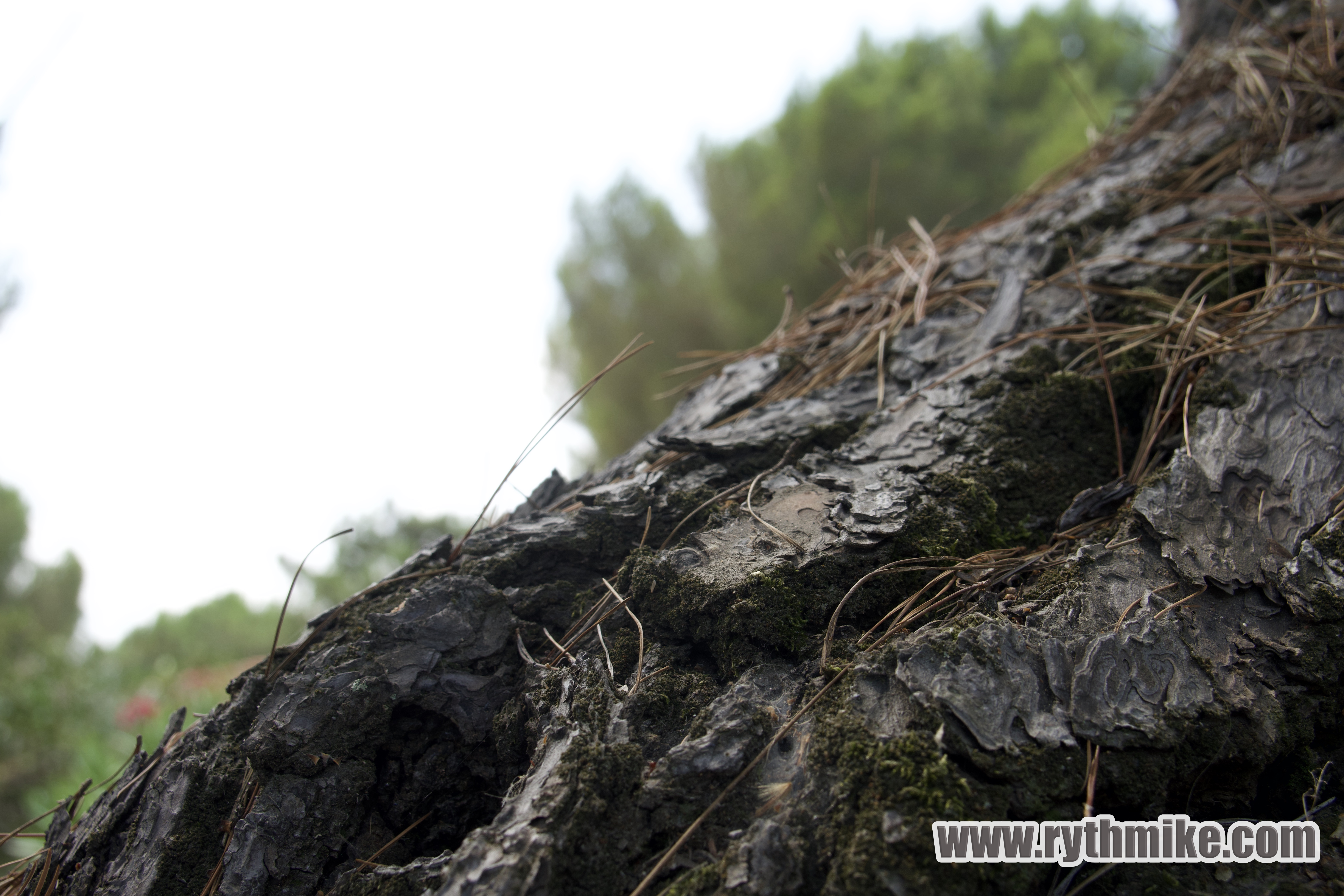 photo d'Argeles