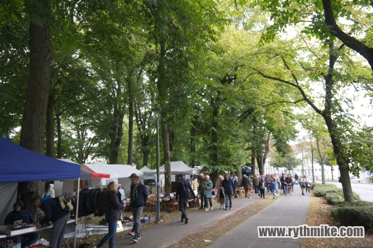 à la braderie de Lille