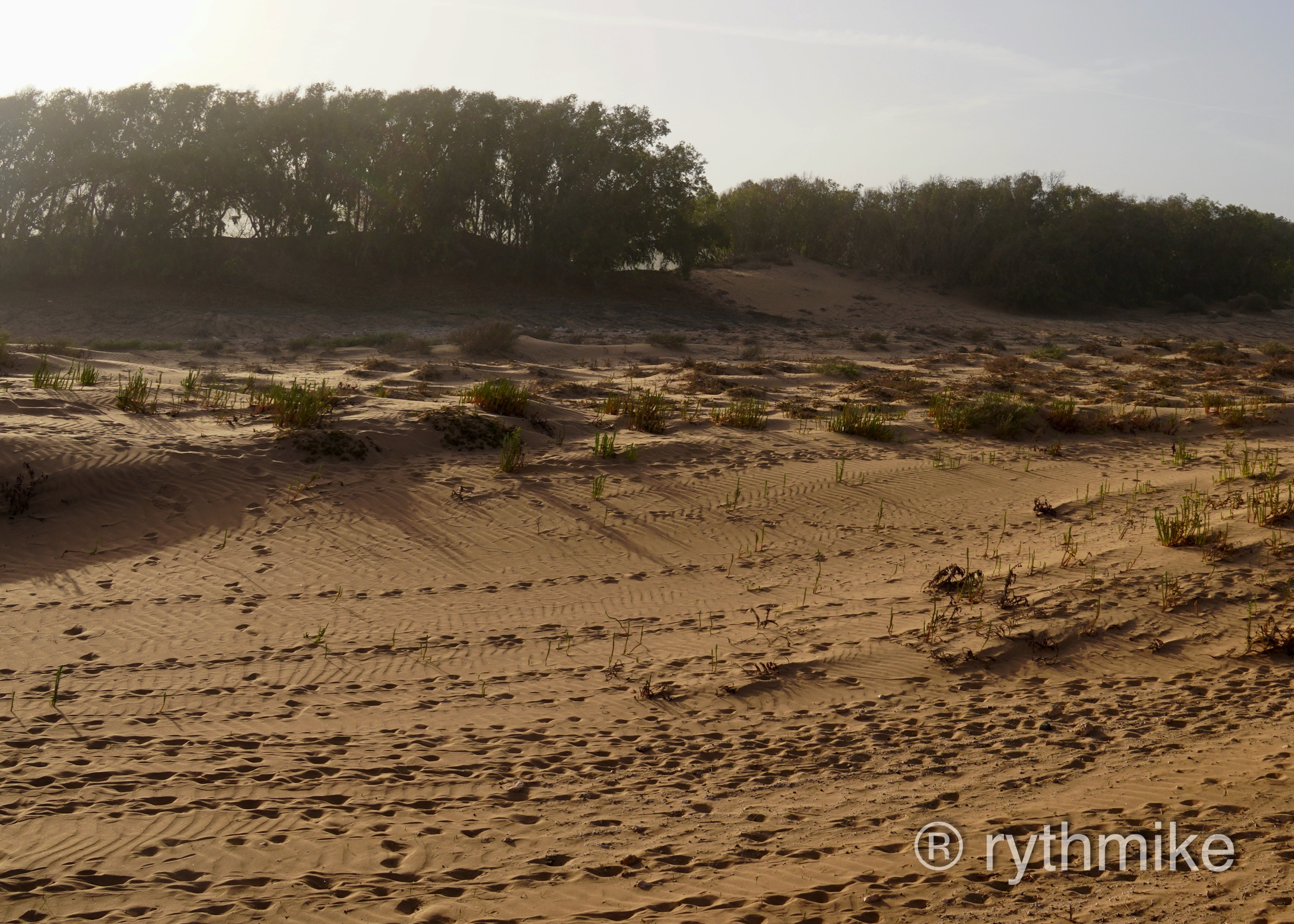 dunes et sables