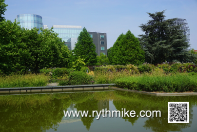 Photo du jardin des géant