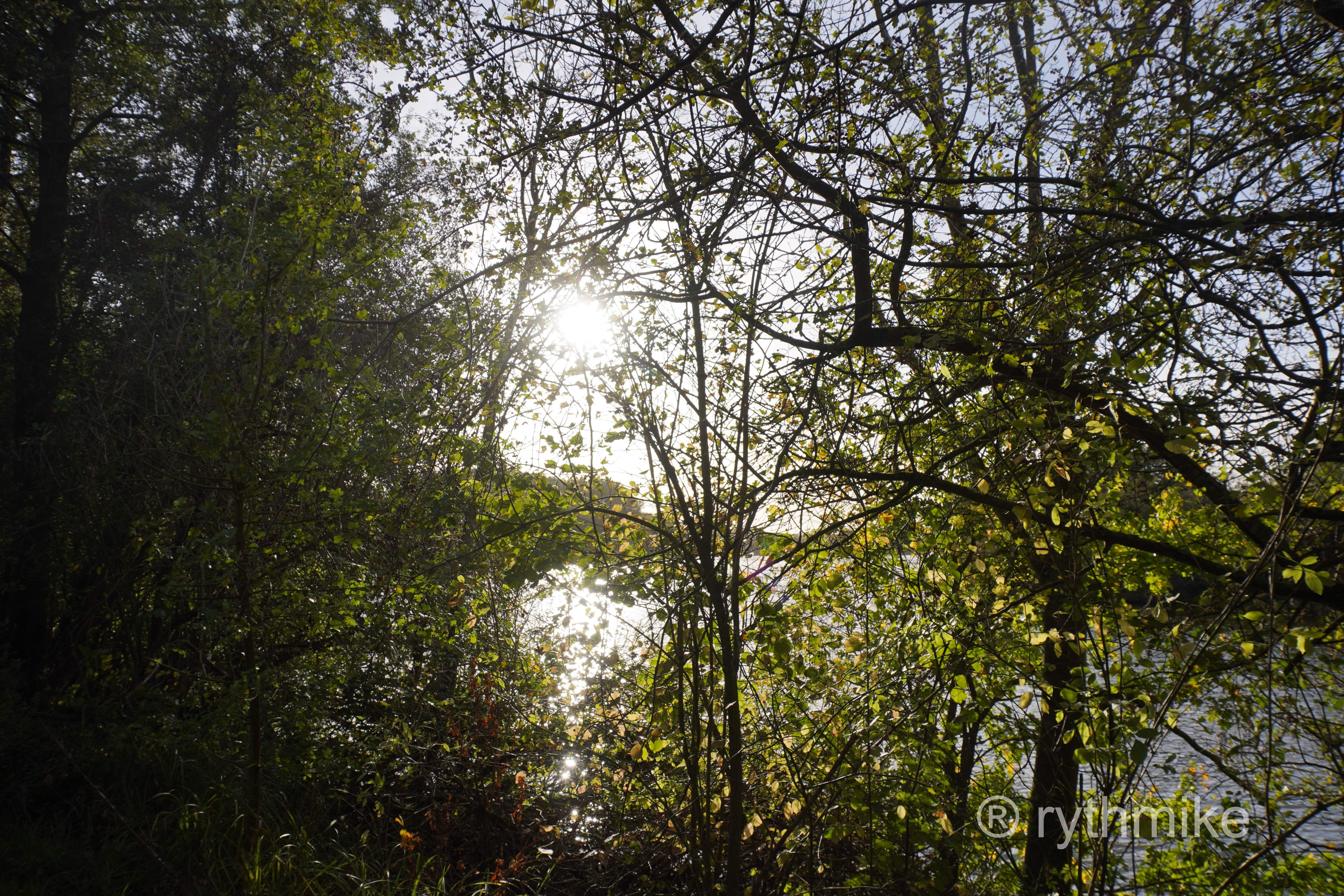 Photo au parc du Heron