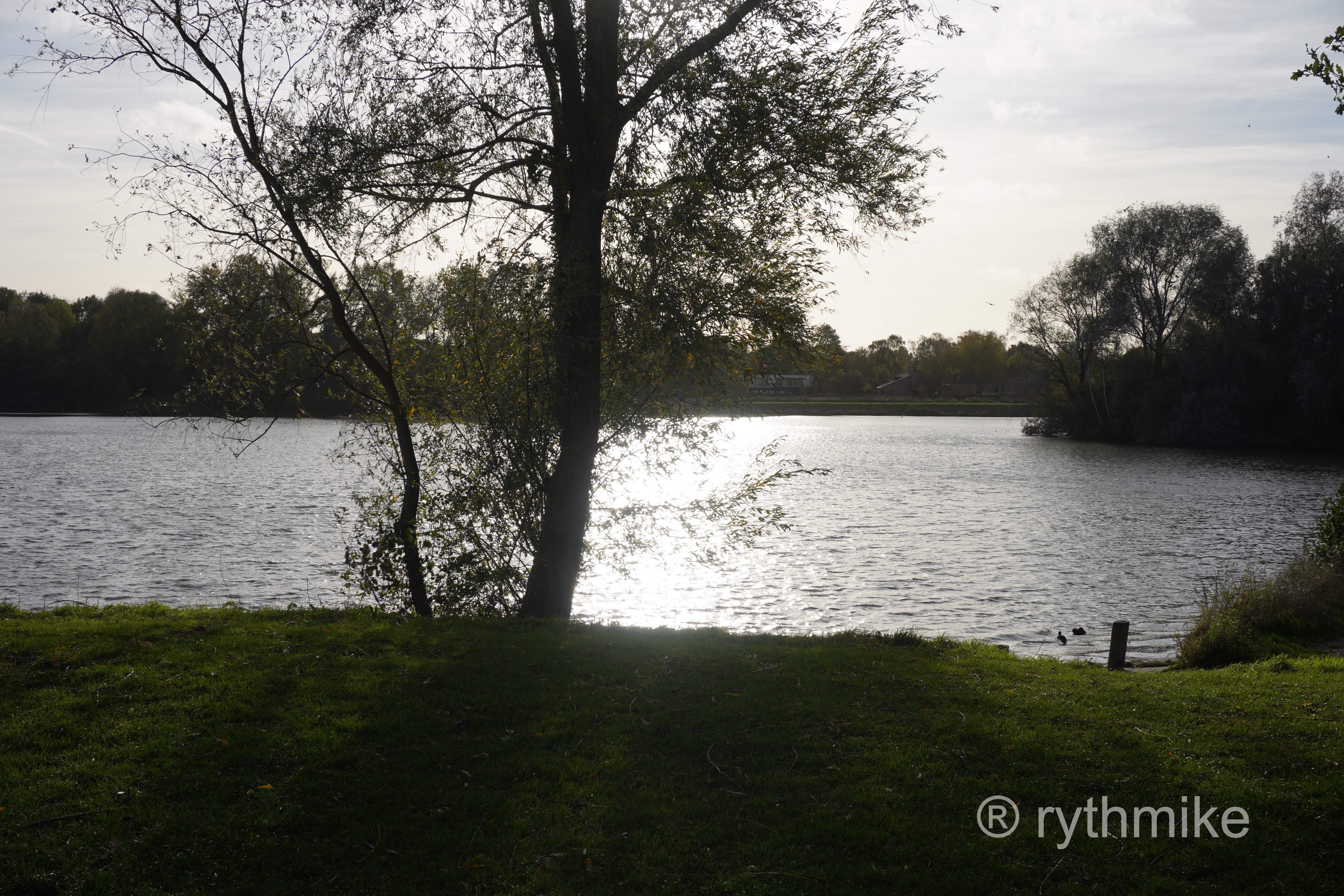 Photo au parc du Heron