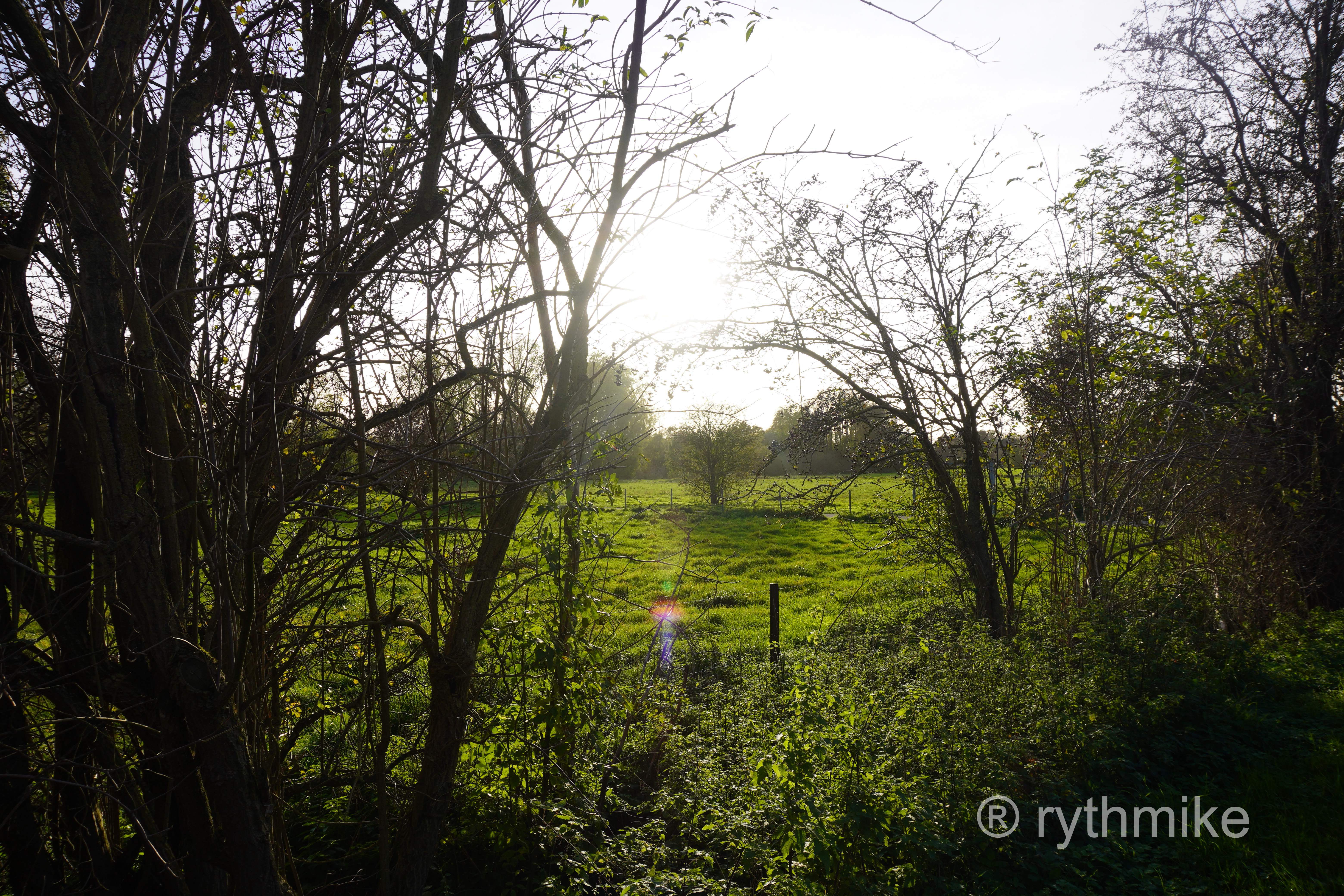 Photo au parc du Heron