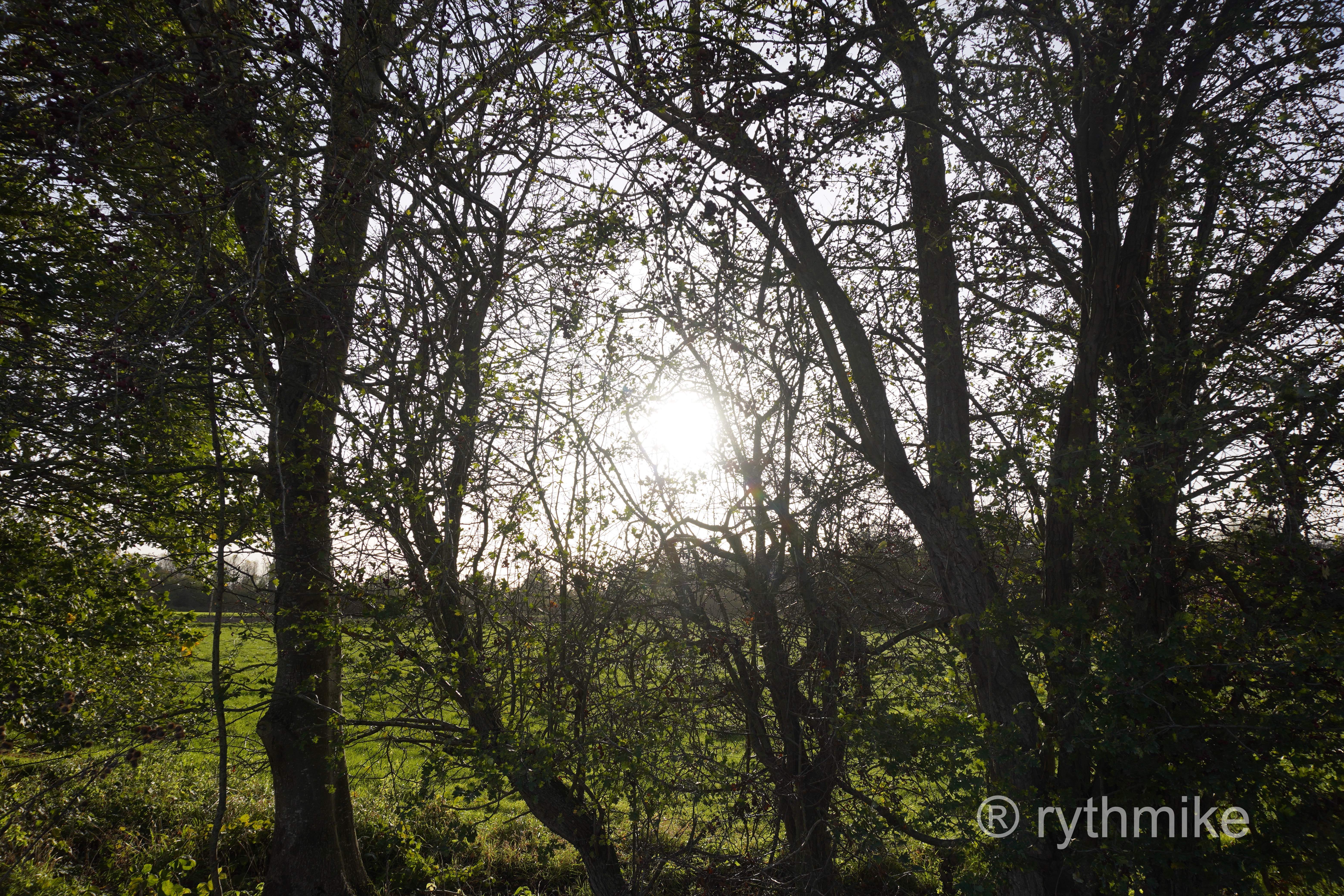 Photo au parc du Heron