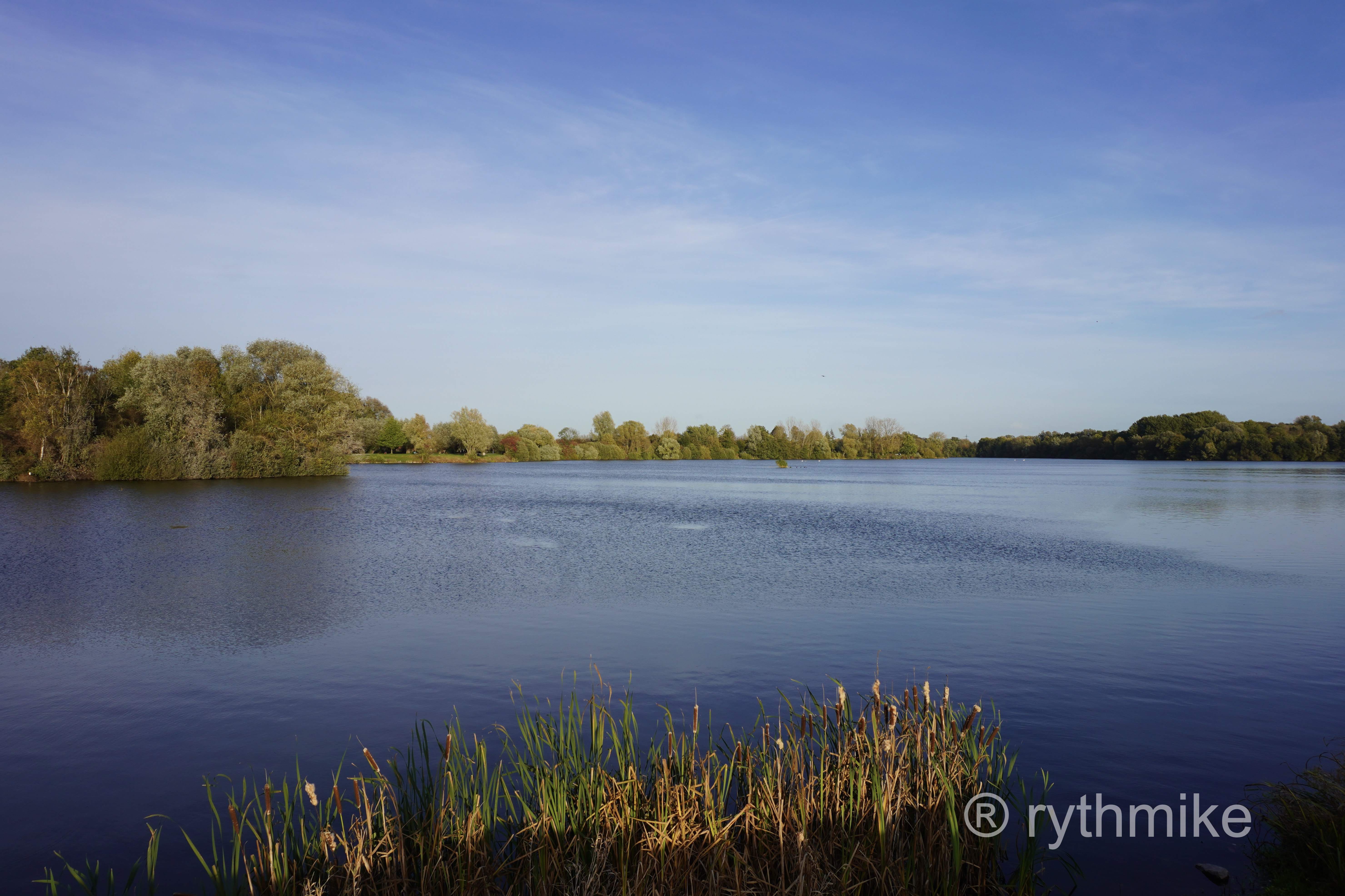 Photo au parc du Heron