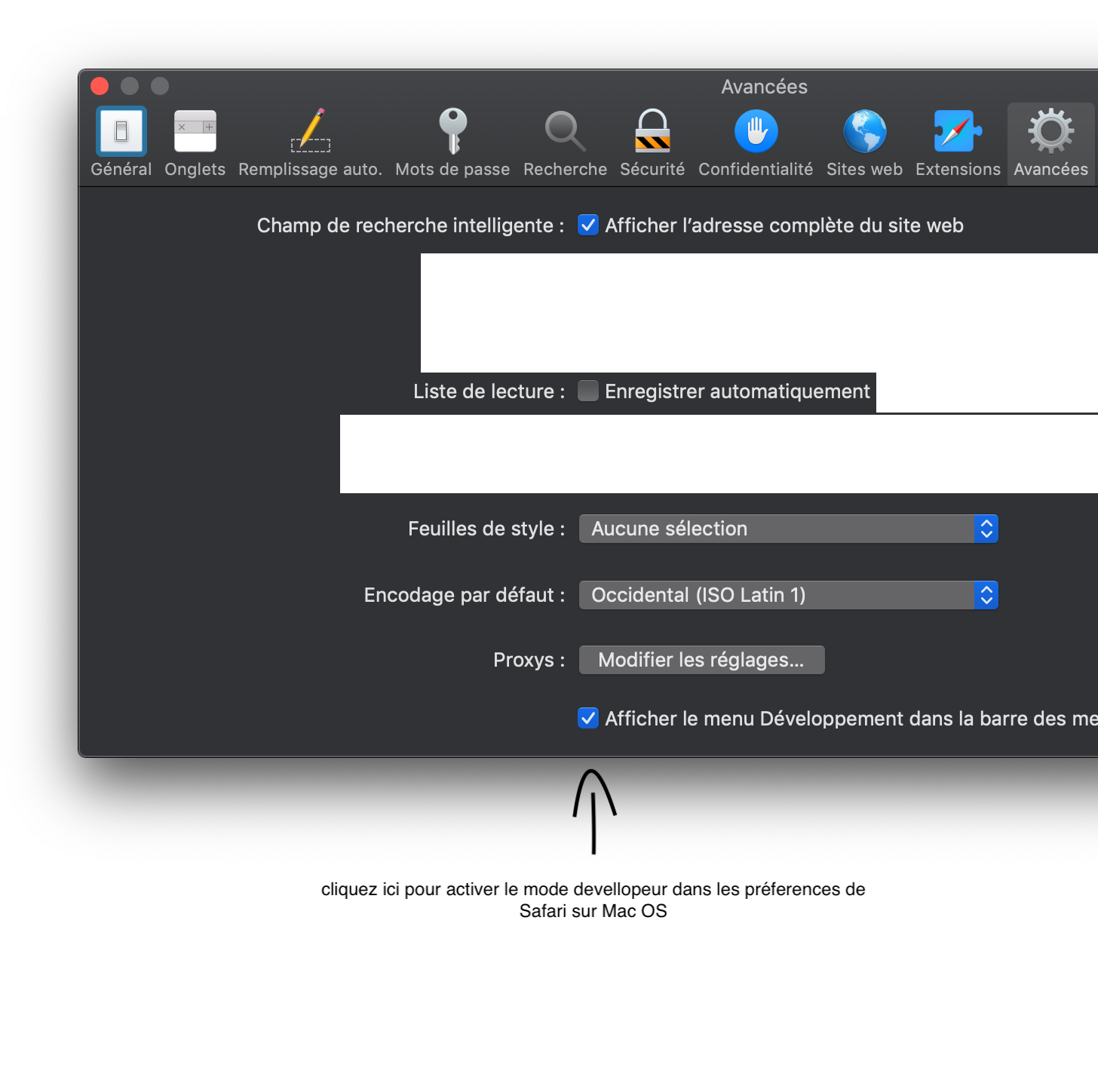 pour afficher le menu devellopeur sur Safari